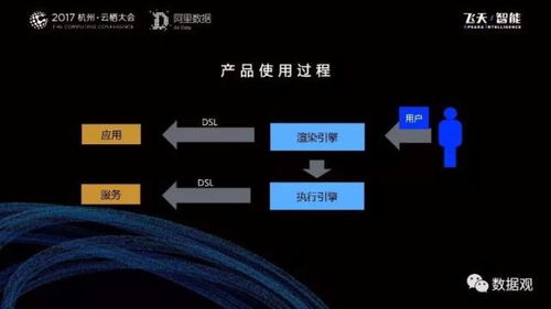 阿里數(shù)據(jù)服務(wù)產(chǎn)品開發(fā)及大數(shù)據(jù)體系實錄