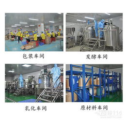 數(shù)據(jù)處理服務(wù) 驅(qū)動現(xiàn)代企業(yè)數(shù)字化轉(zhuǎn)型的核心引擎